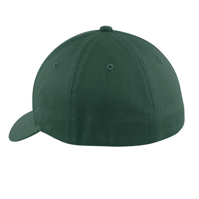 PFMCP17003_Sanmar_Basic_C813_Back